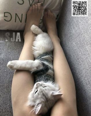 4ayy私人影院_蓝光免费高清观看