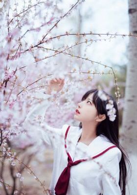 xxx柔术做爰_高清免费播放